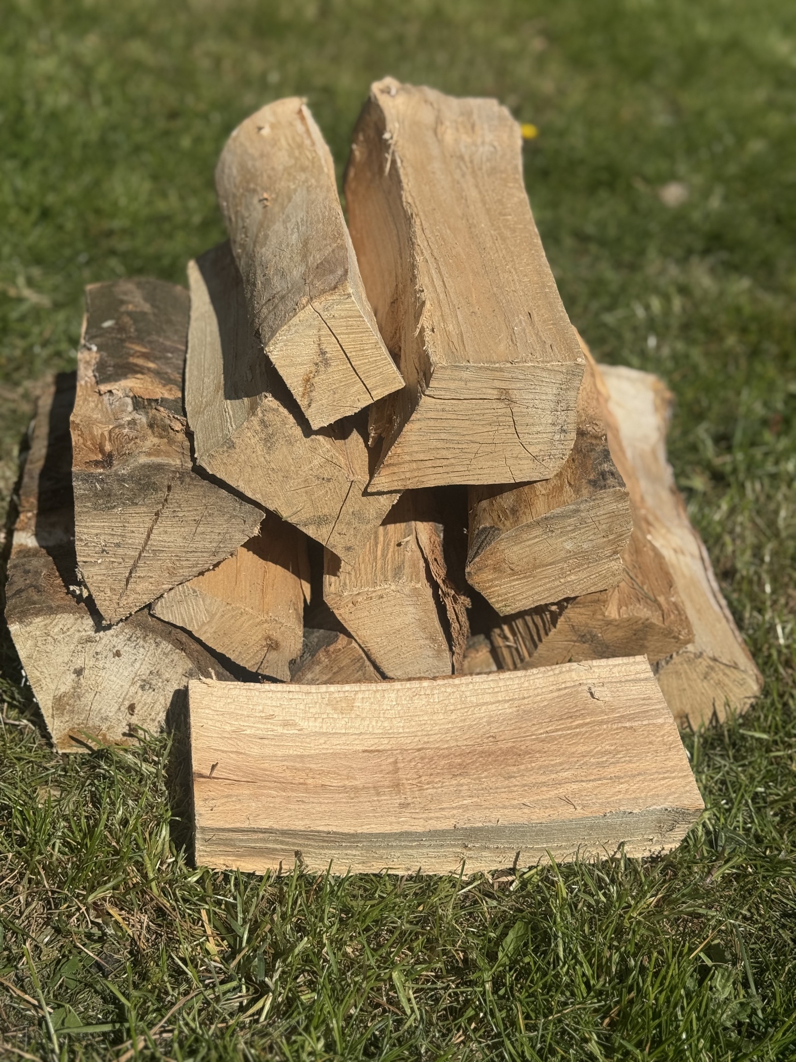 ved i södra skåne. Skurups kommun, trelleborgs kommun, svedala kommun och vellinge kommun